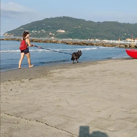 A Mare Con Vista Sul Mare A 50 Mt מארינלה די סרזאנה